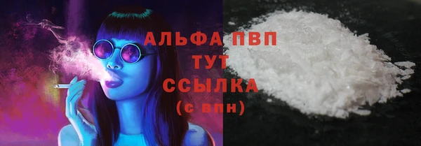 стаф Пестово